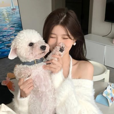 爱曲2
